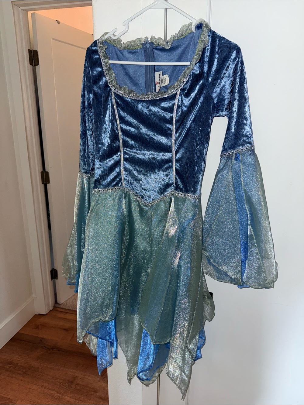 Fairie Costume